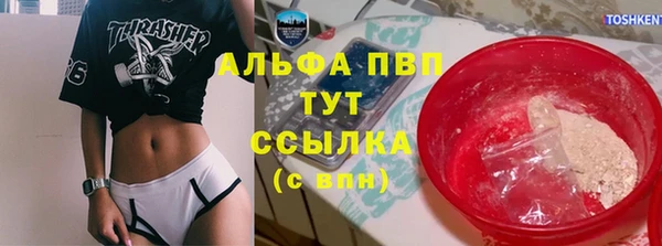 spice Бородино