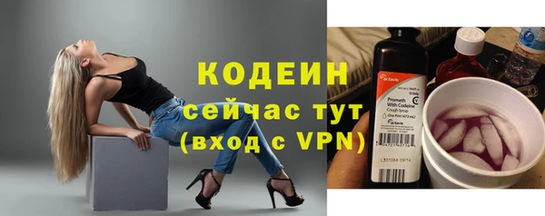 spice Бородино