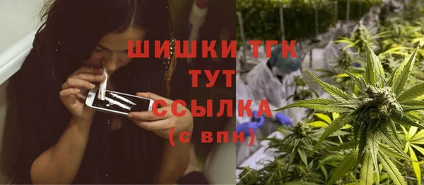 винт Бронницы