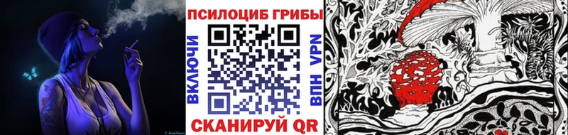Псилоцибиновые грибы мицелий  Купить где  Лахденпохья 