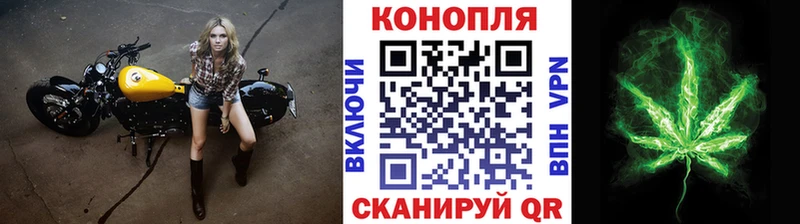 Купить где  Лахденпохья  Канабис гибрид 
